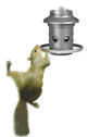 Squirrel on Eliminator